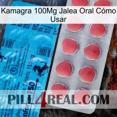 Kamagra 100Mg Jalea Oral Cómo Usar new14